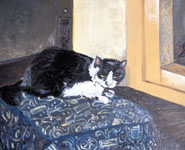 Stary Kot